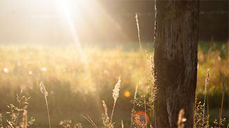 ddos压力测试平台