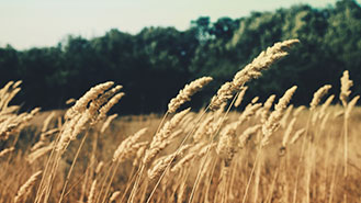 【使用方法详解】通俗易懂的cc攻击工具